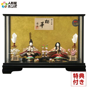 y撅1lzl` RpNg P[X e @  ɏ{ h253-sk-27101 킢 ЂȐl`  l  CeA ЂȍՂ