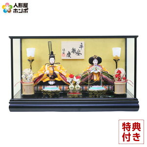 l` RpNg P[X @  c h253-sk-k03-600a-2 P[X RpNg e P[X 킢 ЂȐl`  l  CeA ЂȍՂ