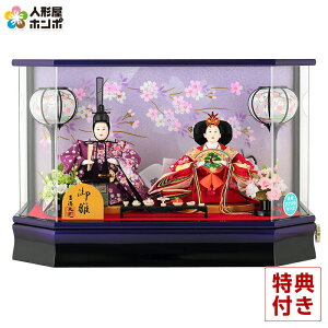 l` g RpNg P[X e l  Zp ANP[X IS[t y2026NxVz h023-yscp-322002 g 킢 ЂȐl`  ЂȍՂ