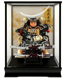 ܌l` ɒB@ RpNg q叫 P[X  q叫ɒB  IS[t y2026NxVz h085-fn-205-909