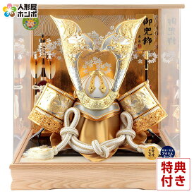 五月人形 コンパクト 着用 兜ケース飾り 兜飾り 藤翁作 着用竜王 アクリルケース 【2026年度新作】 h085-fn-225-783
