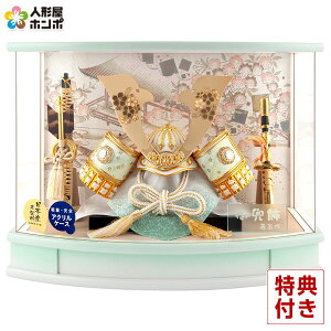 ܌l` RpNg P[X   ͂  ANP[X y2026NxVz h085-fn-255-717