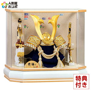 ܌l` RpNg Lv P[X   8 ZpANP[X IS[t y2026NxVz h075-mo-525663 GG-195