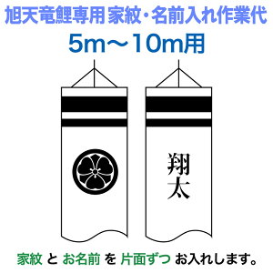 ̂ڂ V ̂ڂ 5m`10mZbgp Ɩ1(Ж) O1 c(Ж) V̂ڂp  Ɩ䖼Ƒ y2026NxVz asahi-kamon-l-b