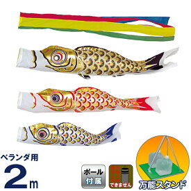 こいのぼり 旭天竜 鯉のぼり 庭園用 ベランダ用 2m 万能スタンドセット ゴールド鯉 五色吹流し 【2027年度新作】 m-gold-st-2m