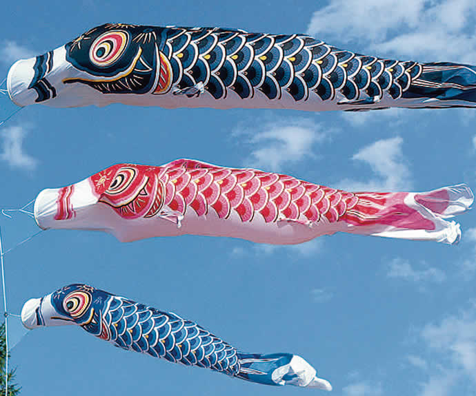楽天市場】こいのぼり 旭天竜 鯉のぼり 庭園用 5m6点セット シルキー鯉 