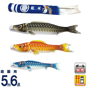 ̂ڂ  ̂ڂ 뉀p 5m 6_Zbg ʃ} oߋT  ƖE㍞ y2026NxVz mk-104-769