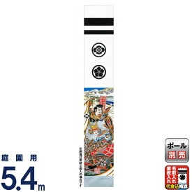 武者絵のぼり 大畑 武者幟 武田信玄 5.4m 家紋・名入れ代込 【2026年度新作】 ko5o-603-120-ts
