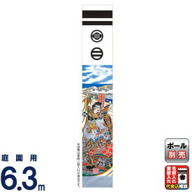 武者絵のぼり 大畑 武者幟 武田信玄 6.3m 家紋・名入れ代込 【2026年度新作】 ko5o-603-124-ts