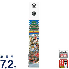 武者絵のぼり 大畑 武者幟 武田信玄 7.2m 城付 金粉入 家紋・名入れ代込 【2026年度新作】 ko5o-603-230-ts
