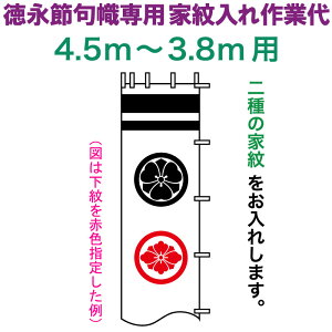 ҊĜڂ i қ 4.5`3.8mp Ɩ  ip ƖƑ y2026NxVz toku-kamon-n2-45-38