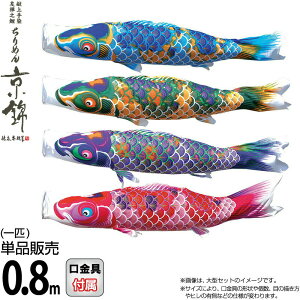 ̂ڂ i ̂ڂ Pi 0.8m ߂񋞋 FTV H |GXen y2026NxVz 000-760-s