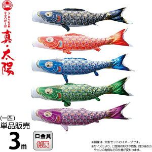 ̂ڂ i ̂ڂ Pi 3m ^Ez ̋P H |GXeTen y2026NxVz 003-806