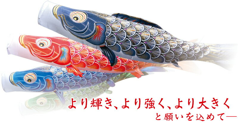 楽天市場】こいのぼり 徳永鯉 鯉のぼり 単品 3m 真・太陽 黄金の輝き鯉 