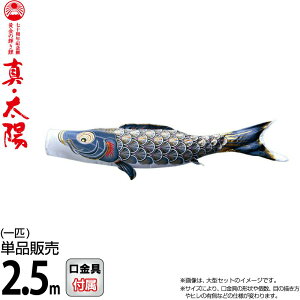 ̂ڂ i ̂ڂ Pi 2.5m ^Ez ̋P  H |GXeTen y2026NxVz 003-807