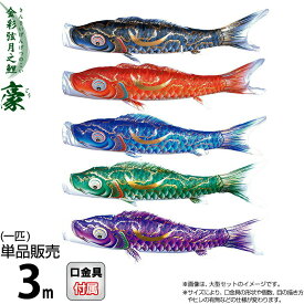 こいのぼり 徳永鯉 鯉のぼり 単品 3m 豪 金彩弦月之鯉 撥水加工 ポリエステルシルキーブライト生地 【2027年度新作】 001-837