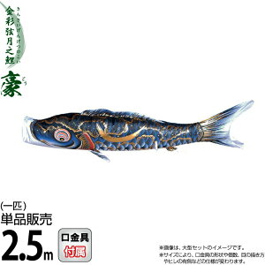 ̂ڂ i ̂ڂ Pi 2.5m  ʌV  H |GXeVL[uCgn y2026NxVz 001-843