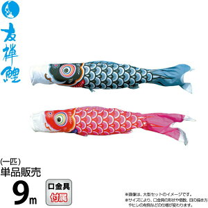 ̂ڂ i ̂ڂ Pi 9m FT |GXe^t^n y2026NxVz 003-556