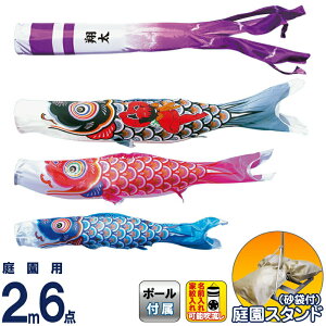 ̂ڂ i ̂ڂ 뉀p 2m6_X^hZbg  Y |GXeVL[uCg ƖE\ y2026NxVz 003-693