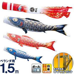 ̂ڂ i ̂ڂ x_p 1.5m CZbg ^Ez ̋P H |GXeTe ƖE\ y2026NxVz 003-794