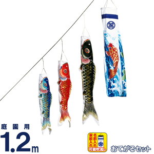 ̂ڂ ^ix ̂ڂ 뉀p 1.2m Ăset AWZbg 4CZbg V |GXe  ƖEO y2026NxVz wtk-13tk012