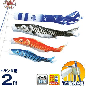 ̂ڂ LO ̂ڂ x_p 2m z[Zbg  |GXe  T^tZbg ƖEO\ y2026NxVz ym-1613020