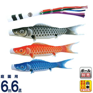 ̂ڂ LO ̂ڂ 뉀p 6m6_  (ق) ܐF |GXe H ƖEO\ y2026NxVz ym-1711660