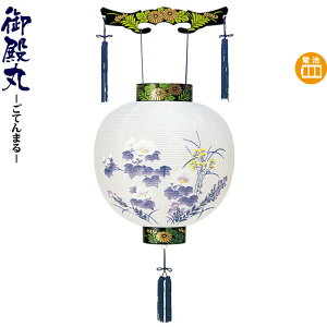 ~ a ڈ TLG drLED rj y2025NxVz h078-ymt-0230-led1584