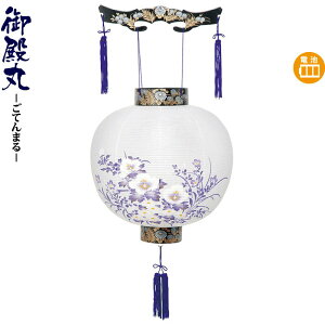 ~ a ړ TLG drLED rj y2025NxVz h078-ymt-0231-led1584