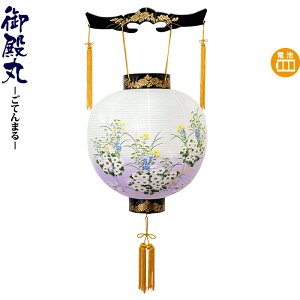 ~ a ڈ e{JV drLED rj y2026NxVz h078-ymt-0286-led1584