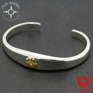 |Cg2{!!t@[XgA[Y XNGAoO FIRST ARROWS br-213