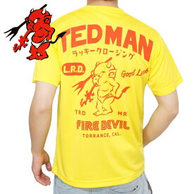 テッドマン ファイヤーデビルプリント ドライ半袖Tシャツ メンズ ユニセックス 新作2024年モデル TEDMANS tdryt-1800b
