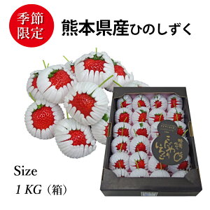 \̔Ԓ bF{Y Ђ̂   iN | 1kg (1) | SݓXɒ It[c | F{Yuh uЂ̂vN̑I琬d˂ĂłA