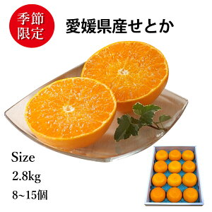 \̔Ԓ b QY Ƃ iN | 5kg 1 | uk̉lvuk̑gvƌĂ΂ Ƃ [炩Ɏcɂ̂ŉʓ̊ÂW[V[̂܂