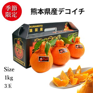 \̔Ԓ bF{Y fRC` ʎttt3 iN | 1kgi3j | SݓXɒ It[c | F{̃fRC`́ism΁jxNxQ̃fRC` ifR