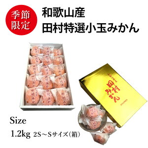 ̔zԒ b a̎RY uhc݂ ip | 1.2kg 1 SS~S TCY  | c݂ ʂȉϔiorIŴӂjɂĔ̔ | SݓXACe iN