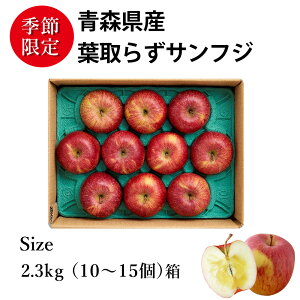 ̔zԒ b XY t炸 Tӂ  uTiz̃Tjvӂ | 2.8kgi8`12j| tƂ炸 Tӂ ʗʂ̏Ȃ t炸Tӂ | v[g ʕMt