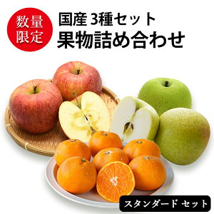 Ε  ~Mtg ʕlߍ킹 iNX̑INAʕ Zbg [ XY Tӂ (3) | XY  (3) | a̎RY ݂(1.5kg) ] Y 3 t