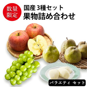 Ε  ~Mtg ʕlߍ킹 iNX̑INAʕ [ R`Y tX (2)| R VC}XJbg(500~600g 1[)|XY Tӂ (2)] Y 3