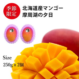 Ε  n}S[ b kCY }S[ ΂̗[ ~ɏõׂuh }S[͂lłō iN | 500g 250g× 2 | Ă̍Y}S[H~ɏoĂkC