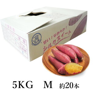 tY ܂| VNXC[g MTCY 20{ 5kg | YҔԍւS | vI񂾐YҗlɂVN ܂ tY t̖LȑnňAƂ낯