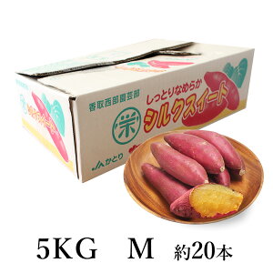 tY ܂| VNXC[g STCY 28{ 5kg | YҔԍւS | vI񂾐YҗlɂVN ܂ tY t̖LȑnňAƂ낯