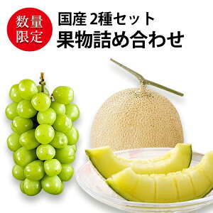 Ε  ~Mtg ʕlߍ킹 iNX̑INAʕ Zbg [ ÉNE(1 1.4kg) |  R VC}XJbg(500~600g 1[) ] Y 2 Zbg 