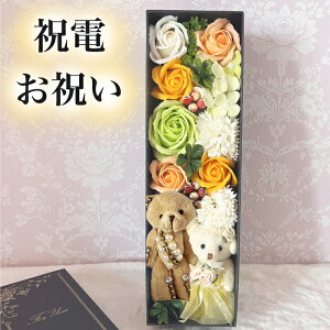 yd ԁzjd j  LO Ajo[T[ LO \[vt[ KN o   v[g Mtg ͂Ȃ ԑ t[AWg EGfBO 