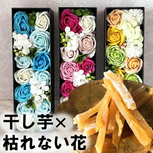 ސEj ͂Ȃ v[g  j a NX}X XC[c   ق  Mtg av[g ԑ V{t[ \[vt[ ͂Ȃ hV̓ 