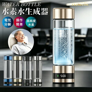 �_���Z�x�^���f�������� ���f���T�[�o�[ �ƒ�p����� ���f�� 460ML �␅/�����ʗp �{�g�����d�𐅋@ �g�ь^ ���f������J�b�v ���f�z�� �[�d�� ����ȒP �d�������������� ���f���{�g�� 