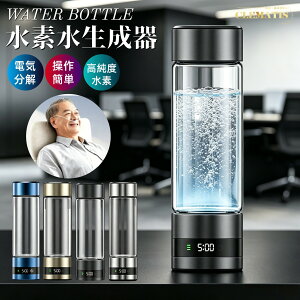 �_���Z�x�^���f�������� ���f���T�[�o�[ �ƒ�p����� ���f�� 460ML �␅/�����ʗp �{�g�����d�𐅋@ �g�ь^ ���f������J�b�v ���f�z�� �[�d�� ����ȒP �d�������������� ���f���{�g�� 