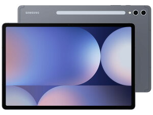 SAMSUNG Galaxy Tab S10+ 256GB [Xg[O[ SM-X820NZAAXJPy 12݁z