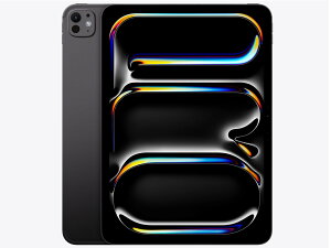 Apple iPad Pro 11C` Z[ 256GB 2025N ME2N4J/A Xy[XubNy񂹁i10cƓ2TԔxjłׁ̓Az