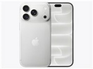 �y���������E�V�i���J���z�y���{���K�����i�ziPhone 18 Pro SIM�t���[ 1TB �V���o�[�y�����񂹁E�[������z